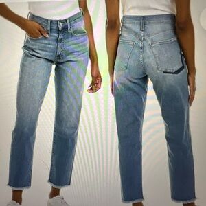 Hudson kass stella jeans 27